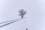 Dekoration Uckermark im Winter